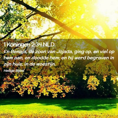Picture 02 - 1 Koningen 2:34 NLD - En Benaja, de zoon van Jojada, ging op, en viel - Bible Verse Picture