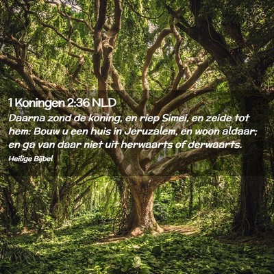 Picture 02 - 1 Koningen 2:36 NLD - Daarna zond de koning, en riep Simei, en zeide - Bible Verse Picture