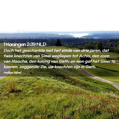 Picture 02 - 1 Koningen 2:39 NLD - Doch het geschiedde met het einde van drie jaren, - Bible Verse Picture