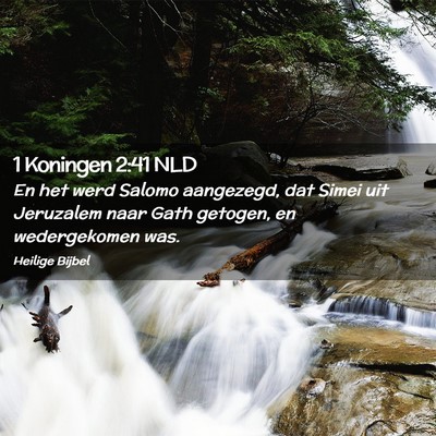 Picture 02 - 1 Koningen 2:41 NLD - En het werd Salomo aangezegd, dat Simei uit - Bible Verse Picture