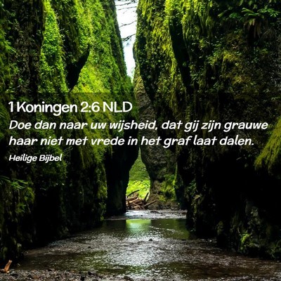 Picture 02 - 1 Koningen 2:6 NLD - Doe dan naar uw wijsheid, dat gij zijn grauwe - Bible Verse Picture