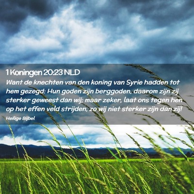 Picture 02 - 1 Koningen 20:23 NLD - Want de knechten van den koning van Syrie hadden - Bible Verse Picture