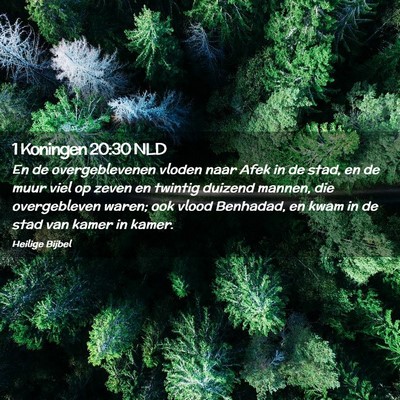 Picture 02 - 1 Koningen 20:30 NLD - En de overgeblevenen vloden naar Afek in de stad, - Bible Verse Picture