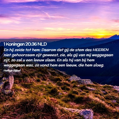 Picture 02 - 1 Koningen 20:36 NLD - En hij zeide tot hem: Daarom dat gij de stem des - Bible Verse Picture