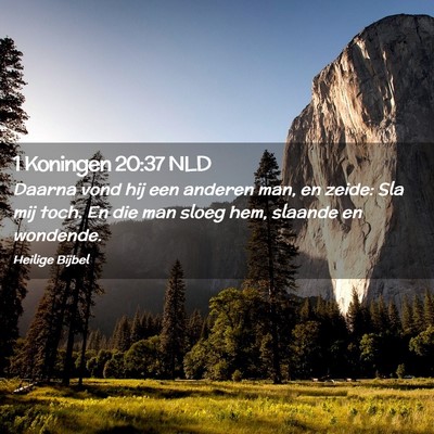 Picture 02 - 1 Koningen 20:37 NLD - Daarna vond hij een anderen man, en zeide: Sla - Bible Verse Picture