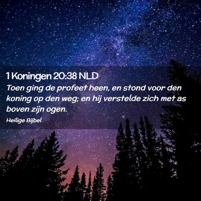 Picture 02 - 1 Koningen 20:38 NLD - Toen ging de profeet heen, en stond voor den - Bible Verse Picture