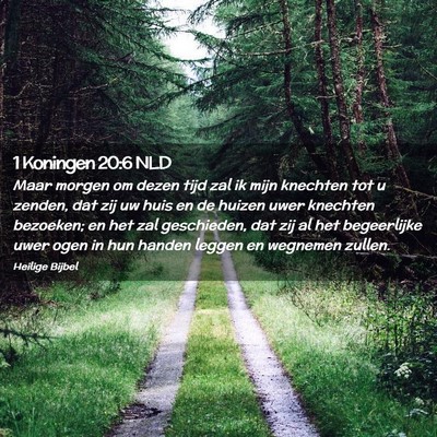 Picture 02 - 1 Koningen 20:6 NLD - Maar morgen om dezen tijd zal ik mijn knechten - Bible Verse Picture