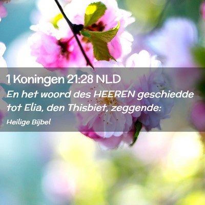 Picture 02 - 1 Koningen 21:28 NLD - En het woord des HEEREN geschiedde tot Elia, den - Bible Verse Picture