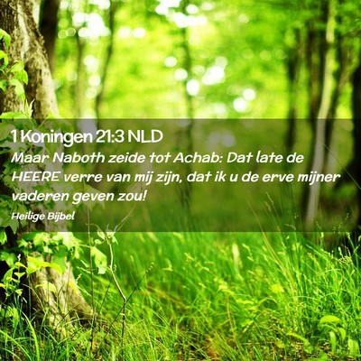 Picture 02 - 1 Koningen 21:3 NLD - Maar Naboth zeide tot Achab: Dat late de HEERE - Bible Verse Picture