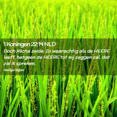 Picture 02 - 1 Koningen 22:14 NLD - Doch Micha zeide: Zo waarachtig als de HEERE - Bible Verse Picture