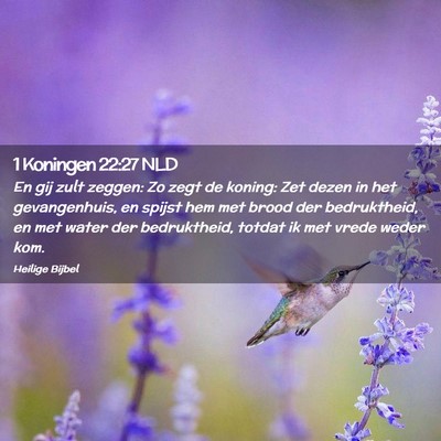 Picture 02 - 1 Koningen 22:27 NLD - En gij zult zeggen: Zo zegt de koning: Zet dezen - Bible Verse Picture