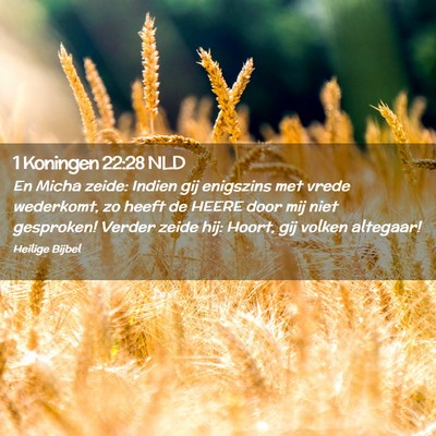 Picture 02 - 1 Koningen 22:28 NLD - En Micha zeide: Indien gij enigszins met vrede - Bible Verse Picture