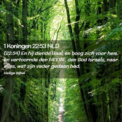 Picture 02 - 1 Koningen 22:53 NLD - (22:54) En hij diende Baal, en boog zich voor - Bible Verse Picture