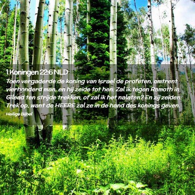 Picture 02 - 1 Koningen 22:6 NLD - Toen vergaderde de koning van Israel de profeten, - Bible Verse Picture