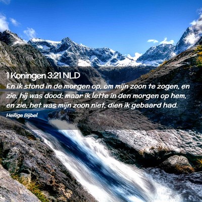Picture 02 - 1 Koningen 3:21 NLD - En ik stond in de morgen op, om mijn zoon te - Bible Verse Picture