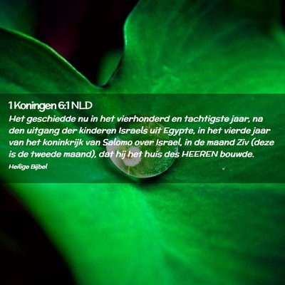 Picture 02 - 1 Koningen 6:1 NLD - Het geschiedde nu in het vierhonderd en - Bible Verse Picture