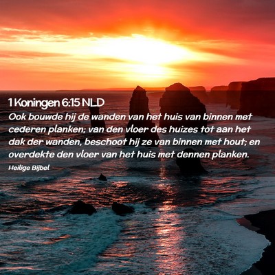 Picture 02 - 1 Koningen 6:15 NLD - Ook bouwde hij de wanden van het huis van binnen - Bible Verse Picture