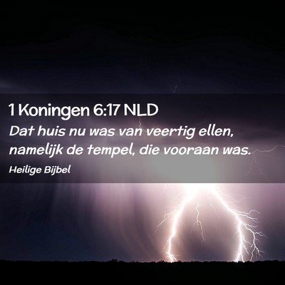 Picture 02 - 1 Koningen 6:17 NLD - Dat huis nu was van veertig ellen, namelijk de - Bible Verse Picture