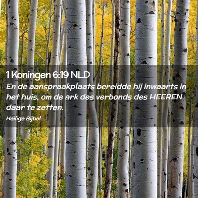 Picture 02 - 1 Koningen 6:19 NLD - En de aanspraakplaats bereidde hij inwaarts in - Bible Verse Picture