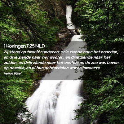 Picture 02 - 1 Koningen 7:25 NLD - Zij stond op twaalf runderen; drie ziende naar - Bible Verse Picture