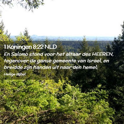 Picture 02 - 1 Koningen 8:22 NLD - En Salomo stond voor het altaar des HEEREN, - Bible Verse Picture