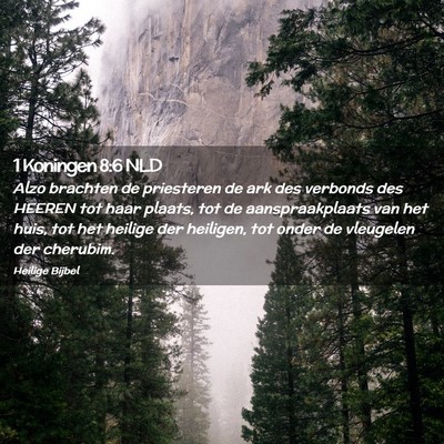 Picture 02 - 1 Koningen 8:6 NLD - Alzo brachten de priesteren de ark des verbonds - Bible Verse Picture