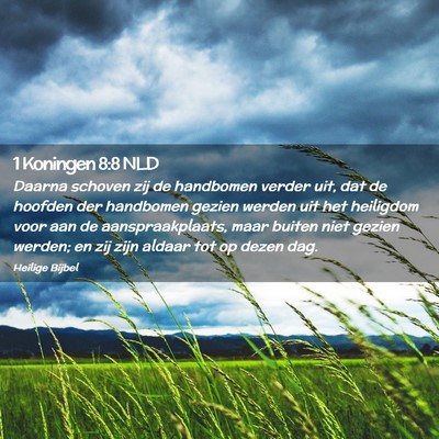 Picture 02 - 1 Koningen 8:8 NLD - Daarna schoven zij de handbomen verder uit, dat - Bible Verse Picture