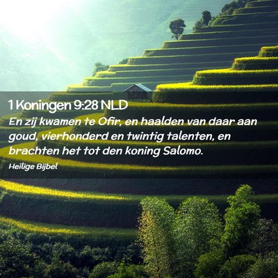 Picture 02 - 1 Koningen 9:28 NLD - En zij kwamen te Ofir, en haalden van daar aan - Bible Verse Picture