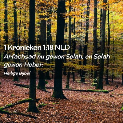 Picture 02 - 1 Kronieken 1:18 NLD - Arfachsad nu gewon Selah, en Selah gewon - Bible Verse Picture