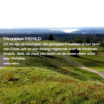 Picture 02 - 1 Kronieken 1:43 NLD - Dit nu zijn de koningen, die geregeerd hebben in - Bible Verse Picture