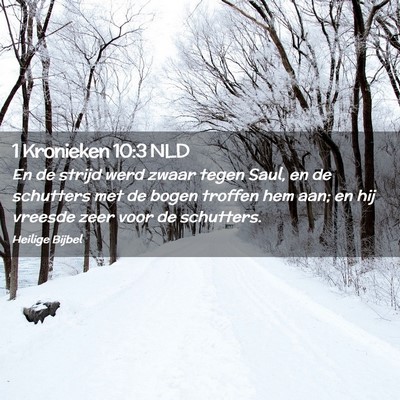 Picture 02 - 1 Kronieken 10:3 NLD - En de strijd werd zwaar tegen Saul, en de - Bible Verse Picture