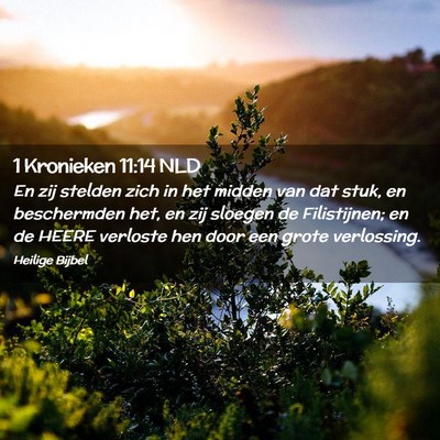 Picture 02 - 1 Kronieken 11:14 NLD - En zij stelden zich in het midden van dat stuk, - Bible Verse Picture