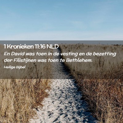 Picture 02 - 1 Kronieken 11:16 NLD - En David was toen in de vesting en de bezetting - Bible Verse Picture