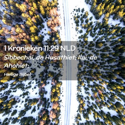 Picture 02 - 1 Kronieken 11:29 NLD - Sibbechai, de Husathiet; Ilai, de - Bible Verse Picture