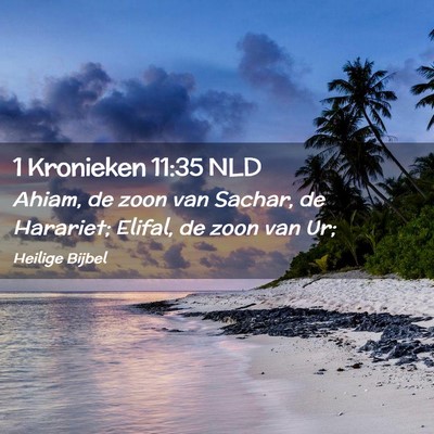 Picture 02 - 1 Kronieken 11:35 NLD - Ahiam, de zoon van Sachar, de Harariet; Elifal, - Bible Verse Picture
