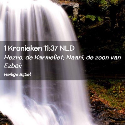 Picture 02 - 1 Kronieken 11:37 NLD - Hezro, de Karmeliet; Naari, de zoon van - Bible Verse Picture