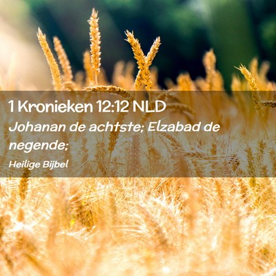 Picture 02 - 1 Kronieken 12:12 NLD - Johanan de achtste; Elzabad de - Bible Verse Picture