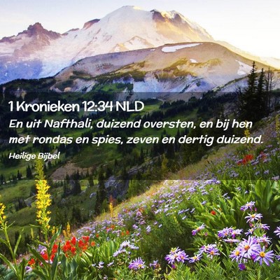 Picture 02 - 1 Kronieken 12:34 NLD - En uit Nafthali, duizend oversten, en bij hen met - Bible Verse Picture