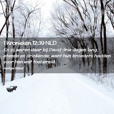 Picture 02 - 1 Kronieken 12:39 NLD - En zij waren daar bij David drie dagen lang, - Bible Verse Picture