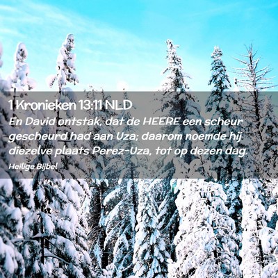 Picture 02 - 1 Kronieken 13:11 NLD - En David ontstak, dat de HEERE een scheur - Bible Verse Picture