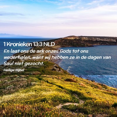 Picture 02 - 1 Kronieken 13:3 NLD - En laat ons de ark onzes Gods tot ons wederhalen, - Bible Verse Picture