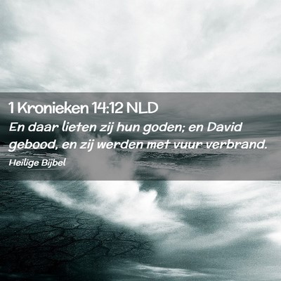 Picture 02 - 1 Kronieken 14:12 NLD - En daar lieten zij hun goden; en David gebood, en - Bible Verse Picture