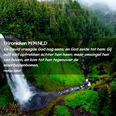 Picture 02 - 1 Kronieken 14:14 NLD - En David vraagde God nog eens; en God zeide tot - Bible Verse Picture