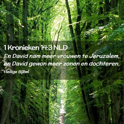 Picture 02 - 1 Kronieken 14:3 NLD - En David nam meer vrouwen te Jeruzalem, en David - Bible Verse Picture