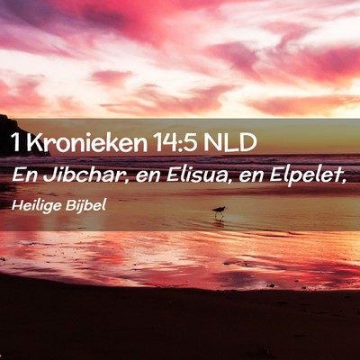 Picture 02 - 1 Kronieken 14:5 NLD - En Jibchar, en Elisua, en - Bible Verse Picture