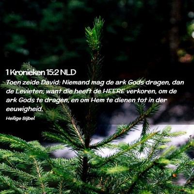 Picture 02 - 1 Kronieken 15:2 NLD - Toen zeide David: Niemand mag de ark Gods dragen, - Bible Verse Picture