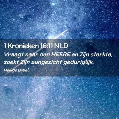 Picture 02 - 1 Kronieken 16:11 NLD - Vraagt naar den HEERE en Zijn sterkte, zoekt Zijn - Bible Verse Picture