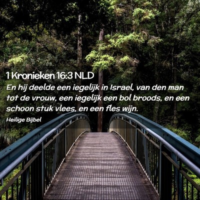 Picture 02 - 1 Kronieken 16:3 NLD - En hij deelde een iegelijk in Israel, van den man - Bible Verse Picture