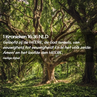 Picture 02 - 1 Kronieken 16:36 NLD - Geloofd zij de HEERE, de God Israels, van - Bible Verse Picture