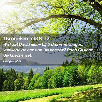 Picture 02 - 1 Kronieken 17:18 NLD - Wat zal David meer bij U daartoe voegen, vanwege - Bible Verse Picture